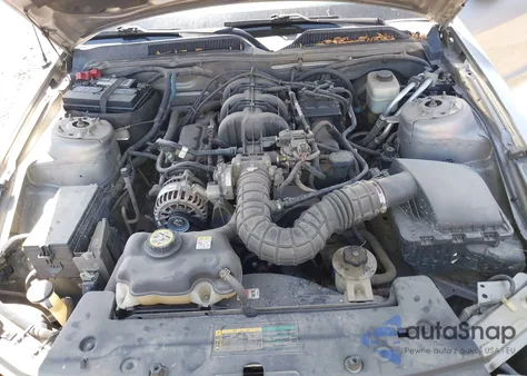 2008 Ford Mustang V6 Deluxe/V6 Premium from USA, damaged, VIN 1ZVHT80NX85172410